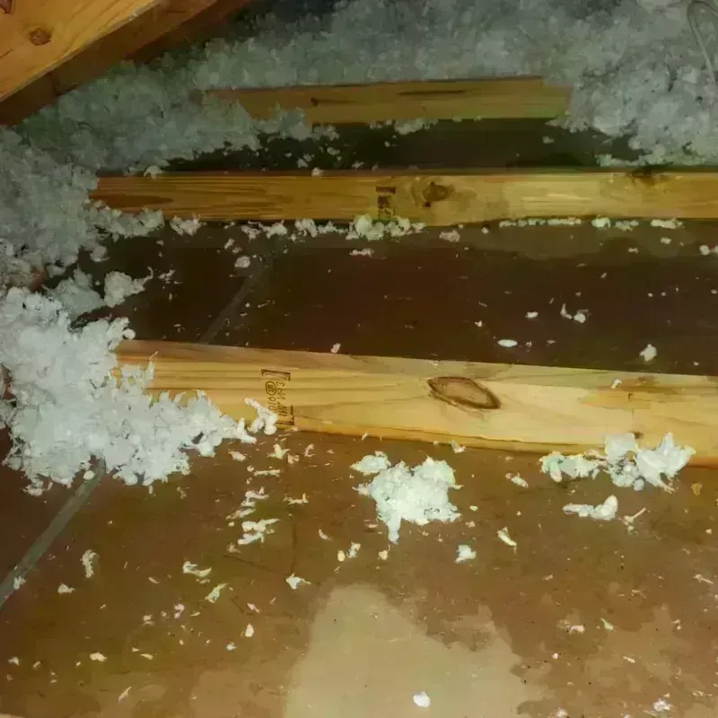 Attic Water Damage in Lake Como, NJ