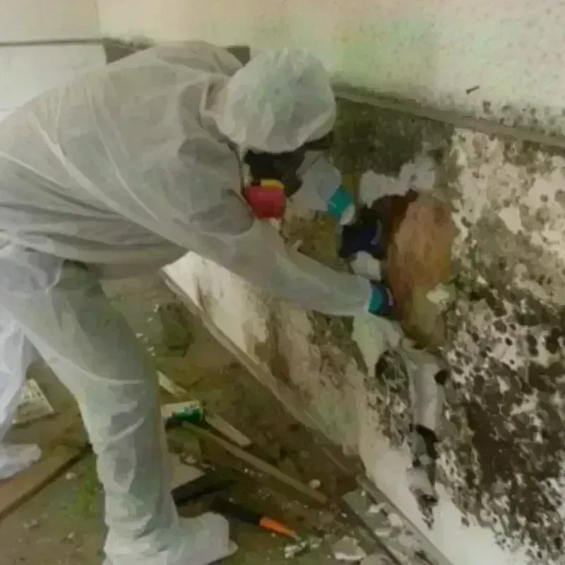 Mold Remediation and Removal in Lake Como, NJ